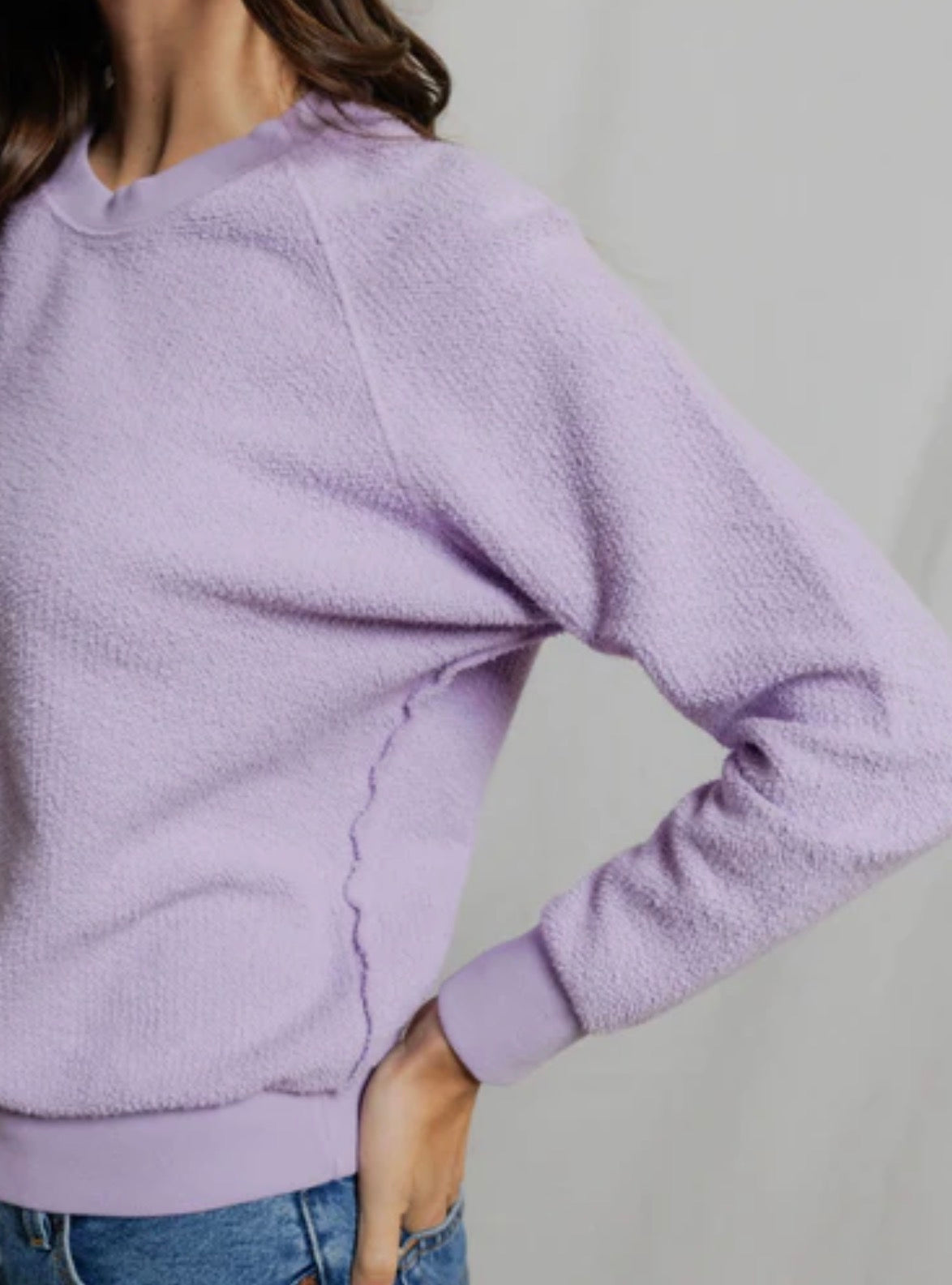 Perfect White Tee Ziggy Sweatshirt Ultraviolet