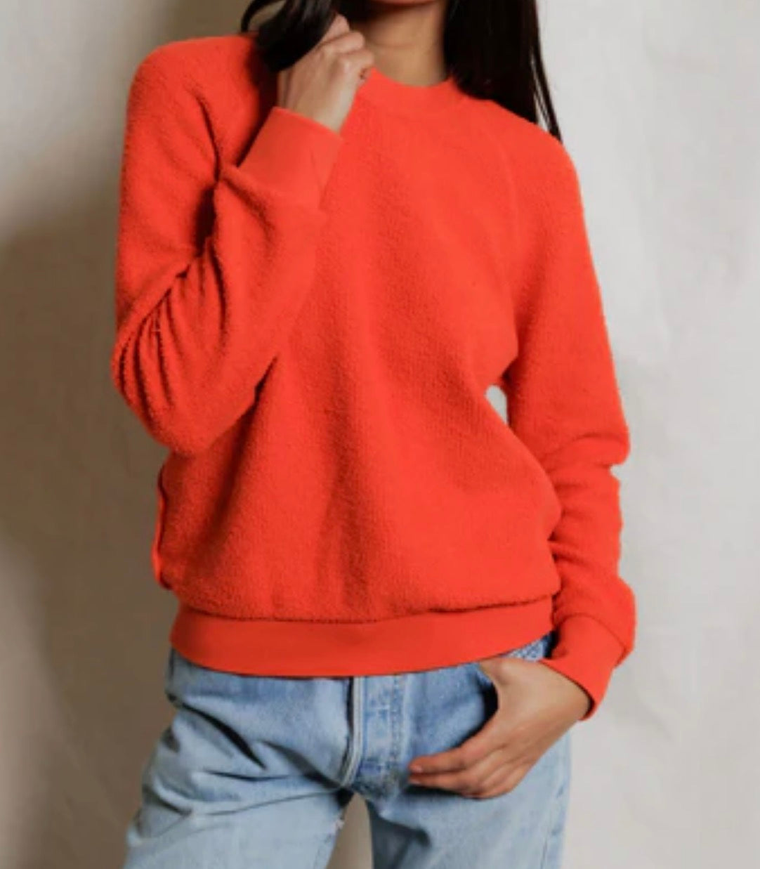 Perfect White Tee Ziggy Sweatshirt