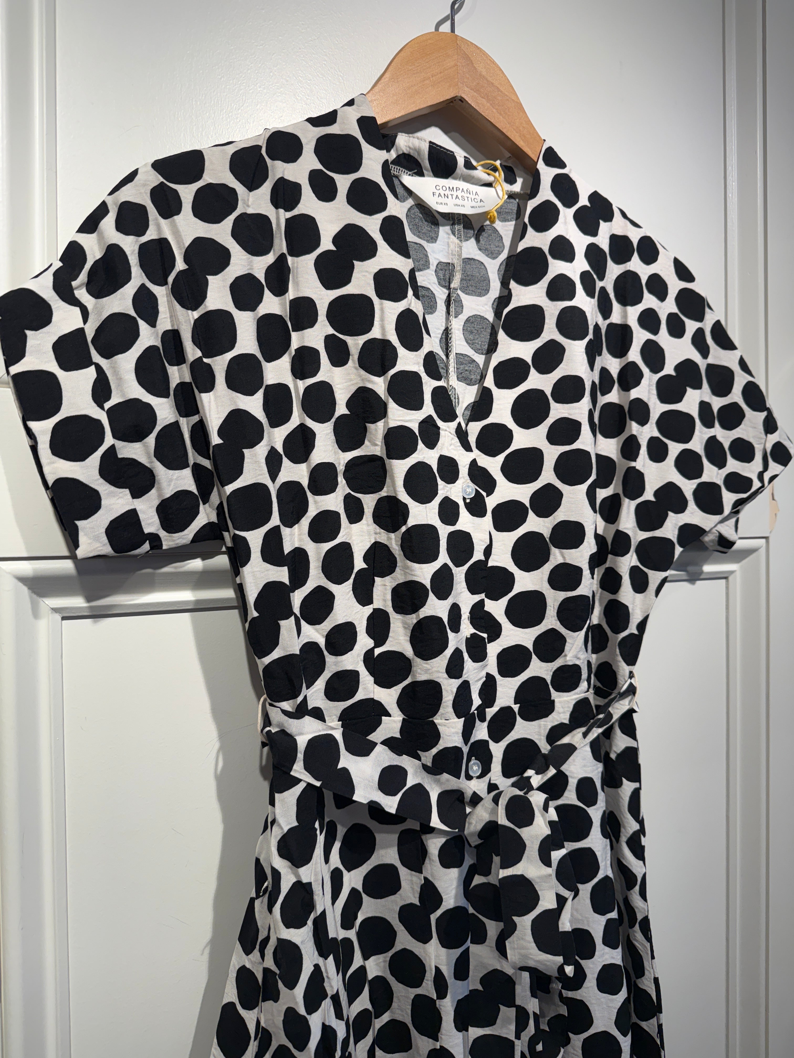 Compania Fantastica Polka Dot Dress